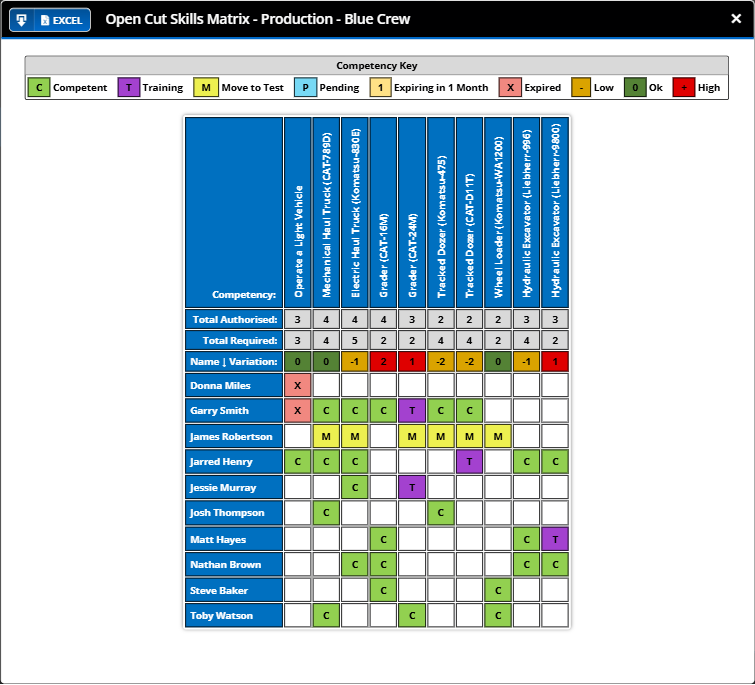 Skills Matrix